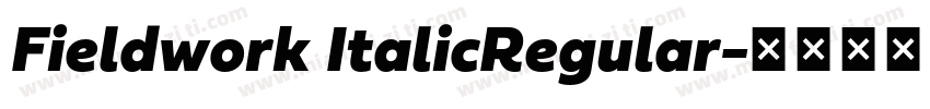 Fieldwork ItalicRegular字体转换